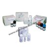 Jual Alat Kesehatan Laboratorium Reagent Kimia Klinik Elitech