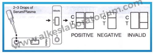 Jual Rapid Test Hepatitis B (HBsAB) Surface Antibody Accurate - Alkeslaboratorium (3)