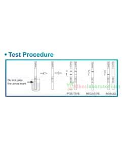 Rapid Test Syphilis Strip Accurate - Alkeslaboratorium