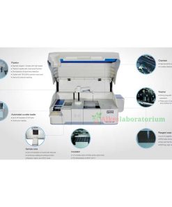 Maglumi 800 Immunoassay - Alkeslaboratorium