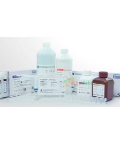 Maglumi 800 Immunoassay - Alkeslaboratorium