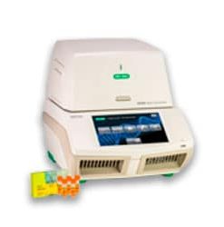 PCR (Polymerase Chain Reaction)